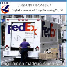 Global Logistics FedEx Post Express Lieferung von China nach Weltweit